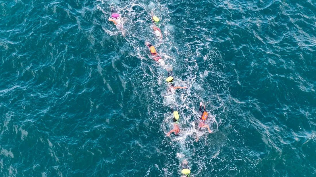 I nuotatori Dominate The Water in mare aperto